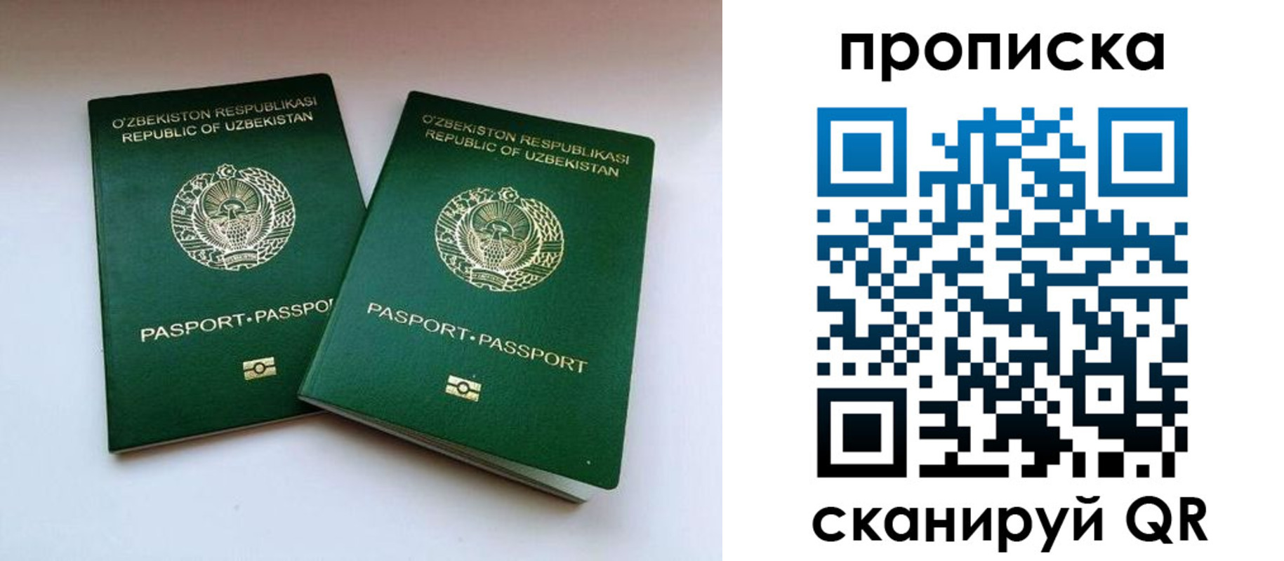 прописка поиск в Гагарине
